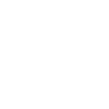 Solve Icon 1
