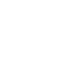 Solve Icon 1