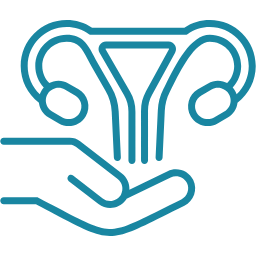 Gynaecological Surgery