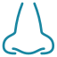 Rhinology (Nose & Sinus Care)